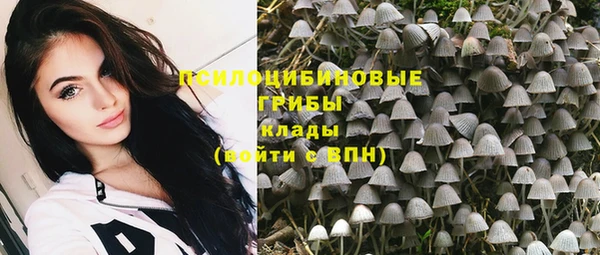 a pvp Медногорск