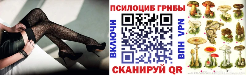 Псилоцибиновые грибы Psilocybe  Купить  Нюрба 
